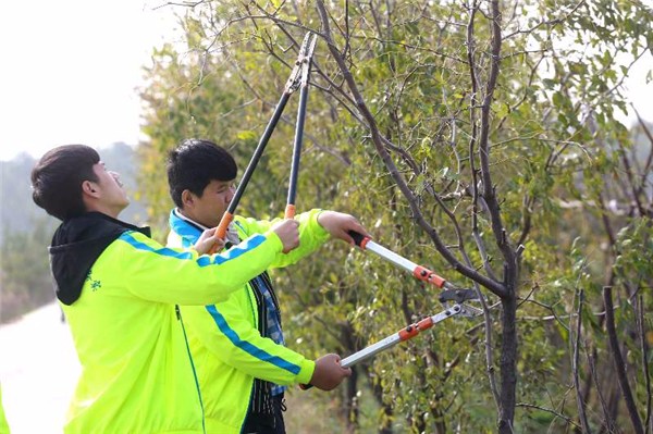 683673265375073518.jpg 683673265375073518.jpg