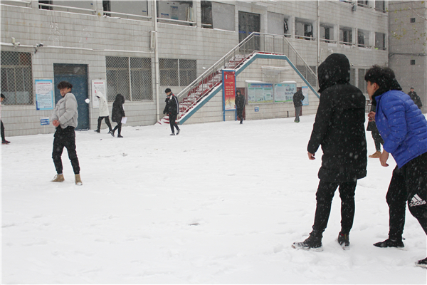 打雪仗 我是表情包.jpg