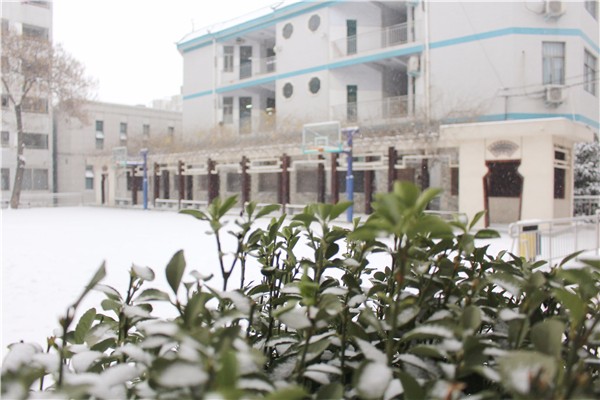 雪中的校史长廊.jpg