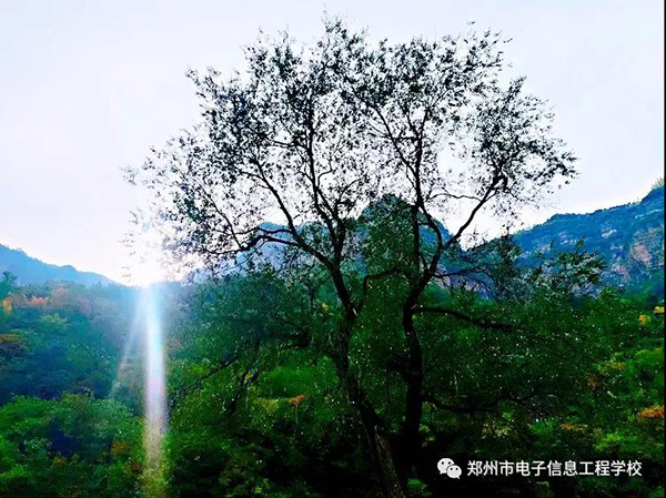 微信图片_20191105142401.jpg 微信图片_20191105142401.jpg