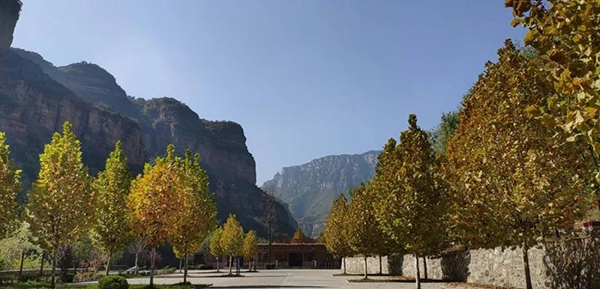 微信图片_20191105163211.jpg 微信图片_20191105163211.jpg